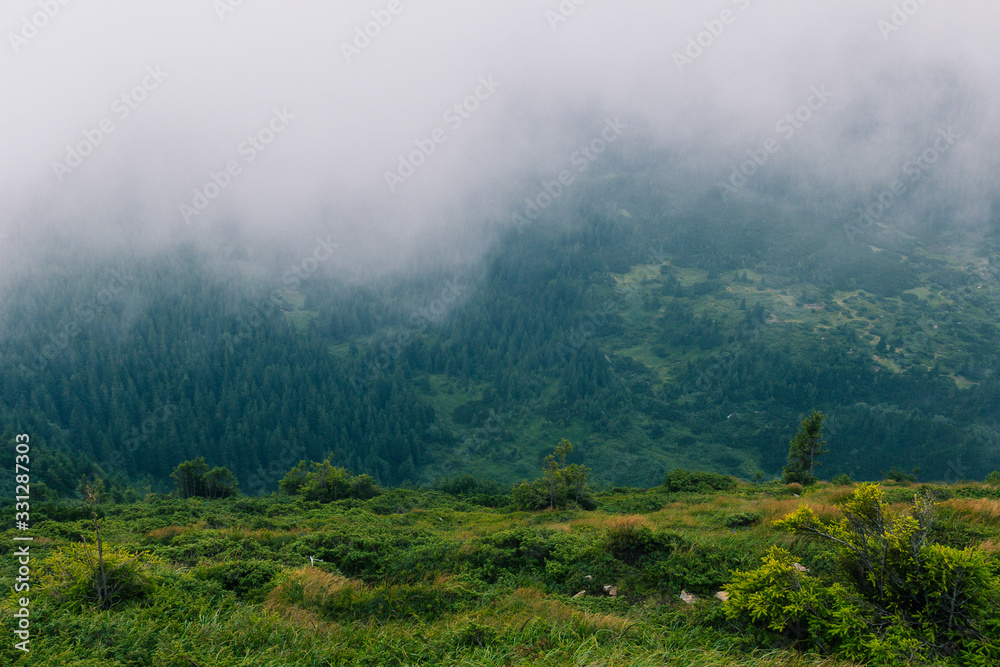 Fototapeta premium authentic, beautiful, building, carpathian, carpathian mountains, clouds, cloudy, cloudy sky, colorful, country, country side, countryside, destination, environment, europe, farm, field, forest, grass