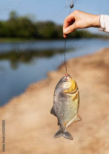 Person holding piranha on fishing line