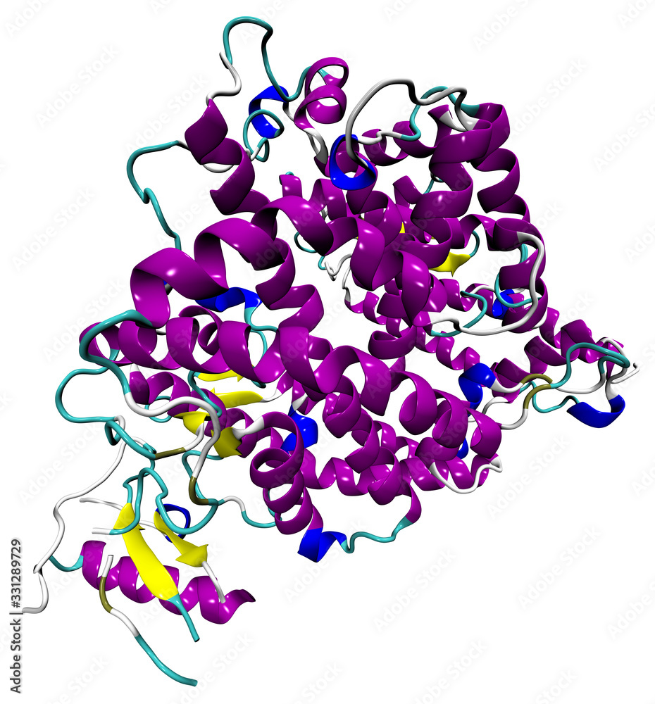 3D structure of the human ACE2 enzyme, the coronavirus SARS-CoV-2 entry point, causing COVID-19. PDB 1R42