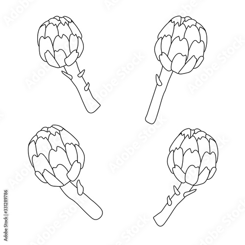 Vintage linear set with artichoke outline. Delicious food illustration. Design element. Vector logo design. Flower icon. Decoration element. Art illustration. Artichoke icon.