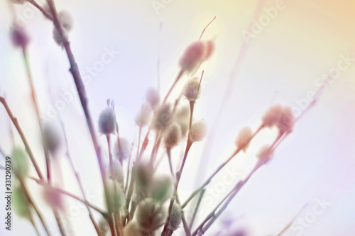 Beautiful, colorful, spring, bright, Easter willow in a bouquet. Close-up.