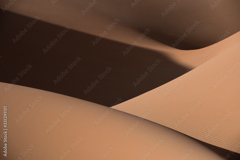 Desert shapes and camels Desert shapes and camels