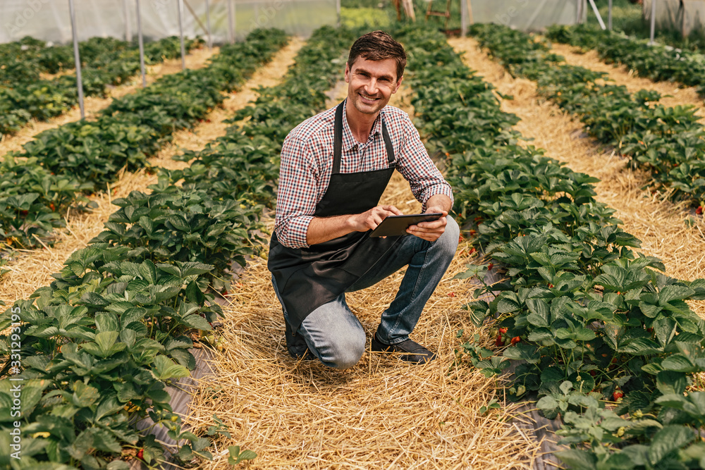 Ταπετσαρία Cheerful gardener with tablet near strawberry plants
