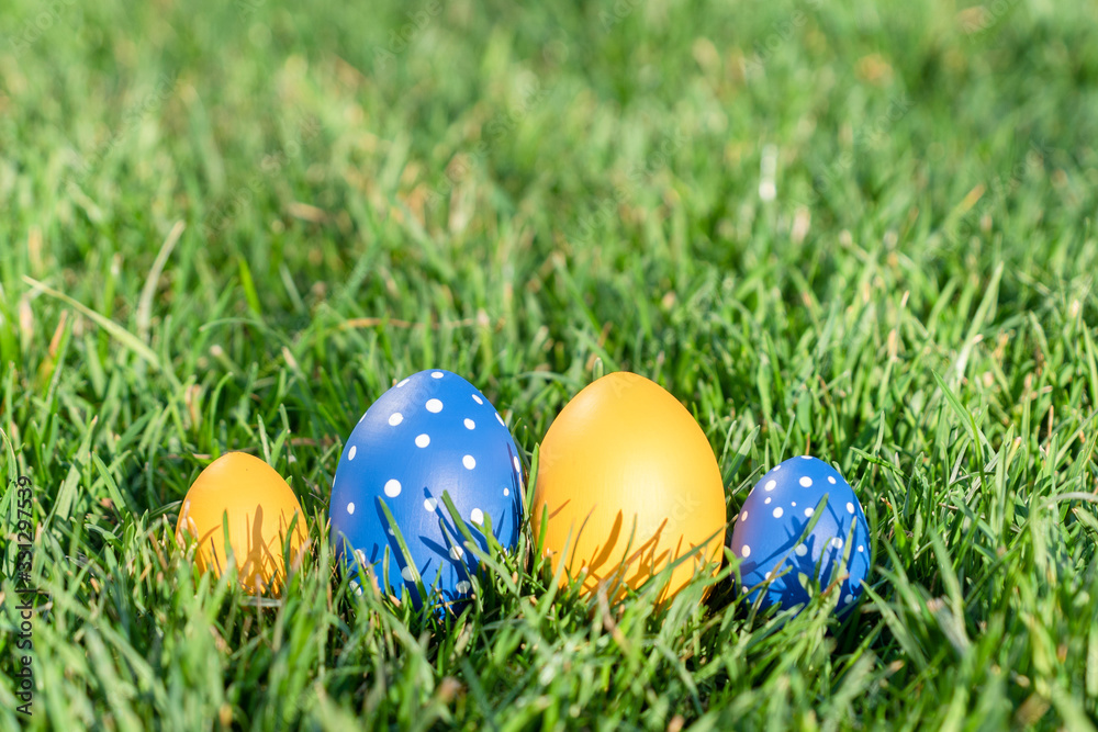 four blue and yellow  painted easter eggs of different sizes lay on green spring grass, space for text, celebration of easter holiday, geetings concept