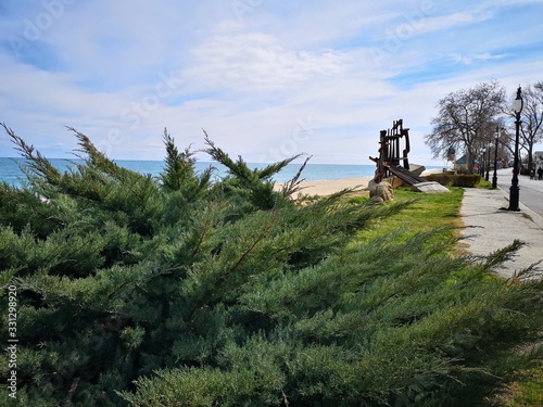 landscape with tree 