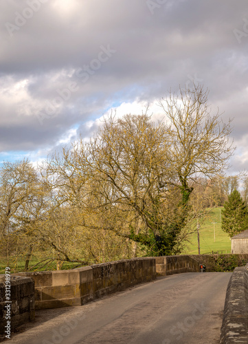 Tree and bridge.