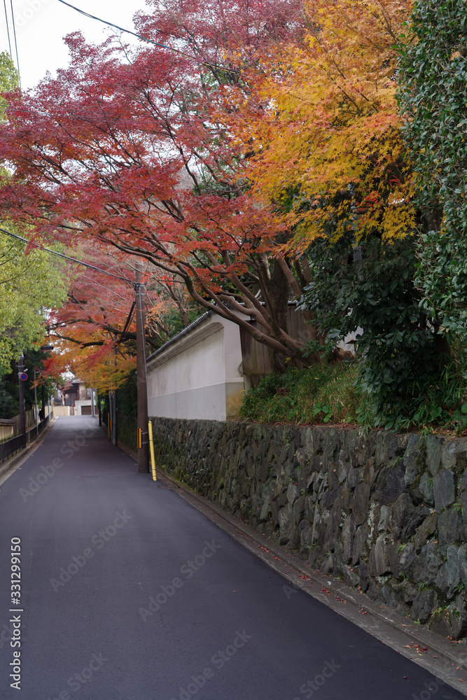 京都・紅葉の秋の道