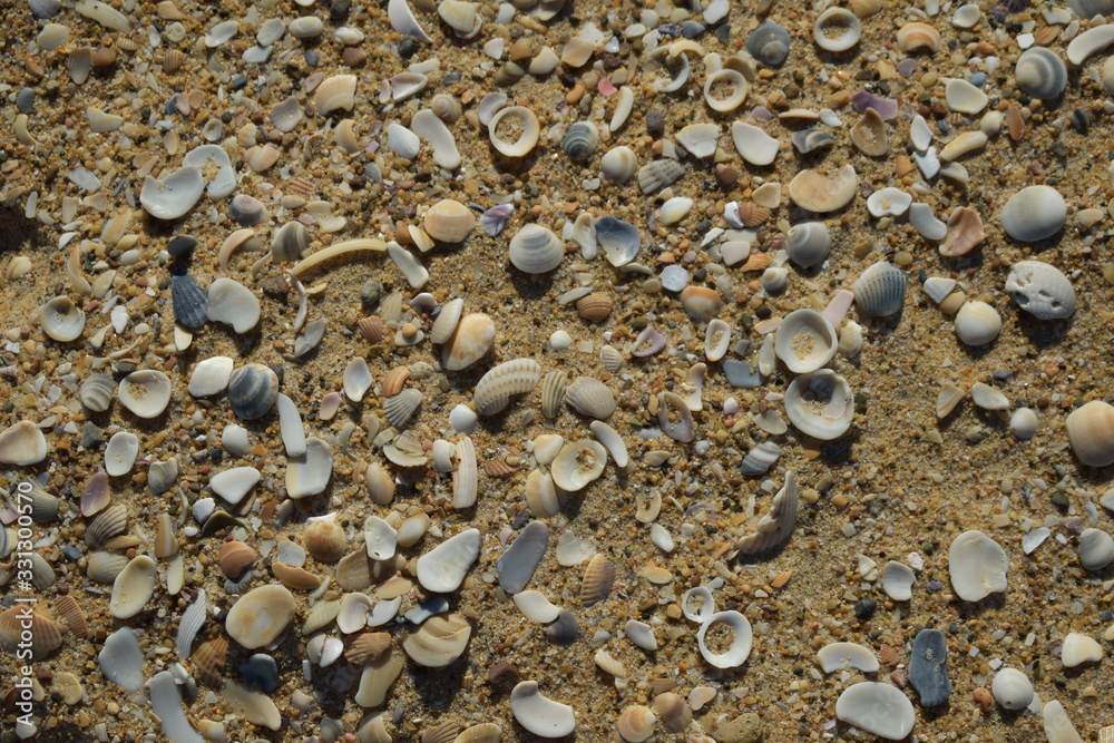 Sea Shore Sea Shore