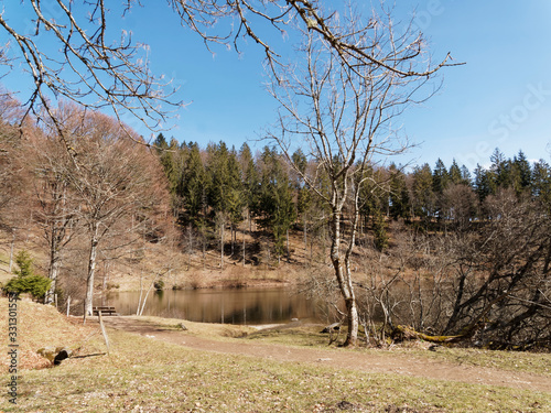 Nonnenmattweiher lake on a beautiful cirque between high rock faces and on the slopes of Köhlgarten massif in the Southern Black Forest in Germany photo