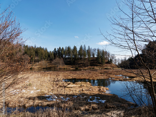 View on peat island on the Nonnenmattweiher lake in the Southern Black Forest in Germany photo