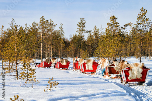 People at Reindeer sleigh caravan in winter forest in Rovaniemi © Roman Babakin