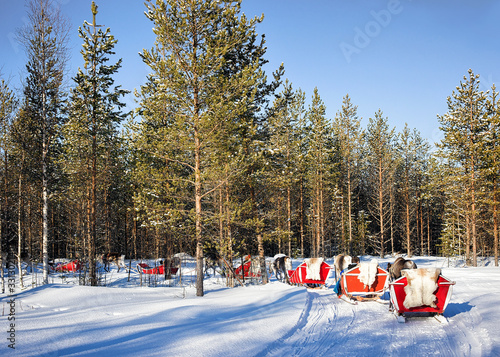 People at Reindeer sledge caravan safari in forest Finnish Lapland © Roman Babakin