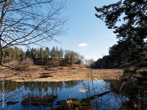 Black-Forest landscape in South Germany. About half the Nonnenmattweiher lake is bordered by a barrier of floating logs enabling the rest to be used as a bathing lake. photo