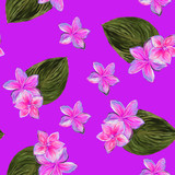 Frangipani Plumeria Tropical Flowers. Seamless Pattern Background. Tropical pink and green floral summer seamless pattern pink background with plumeria flowers with leaves.