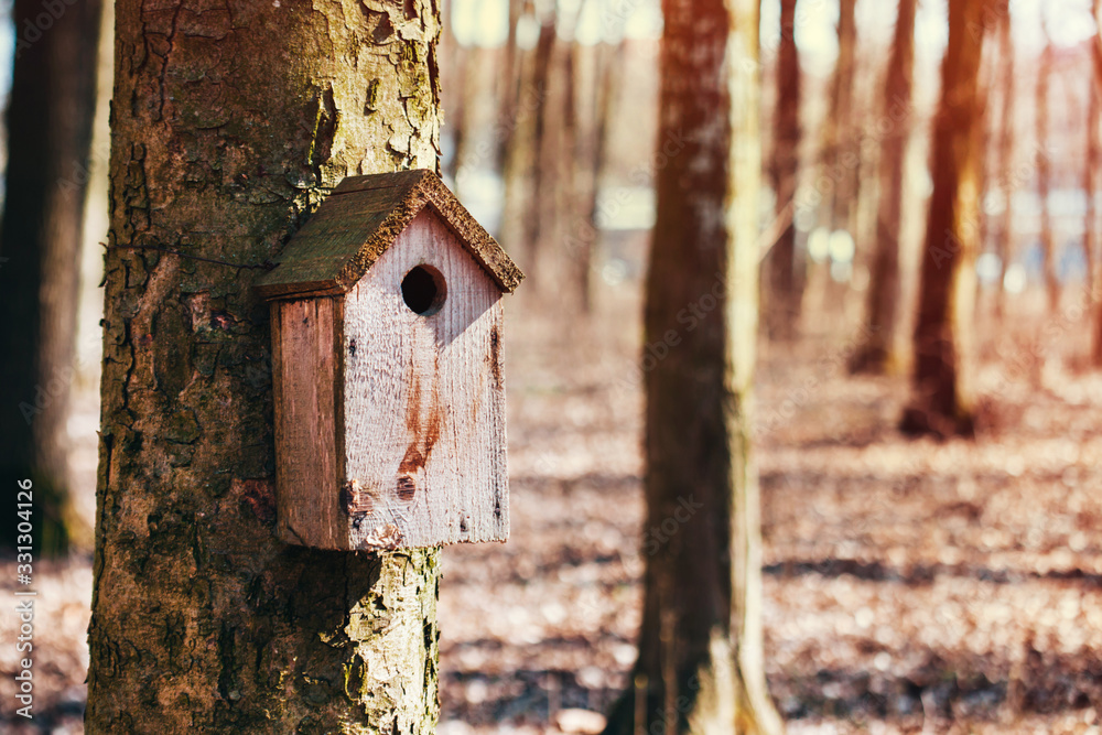 old bird house nailed on a tree in a spring forest, handmade