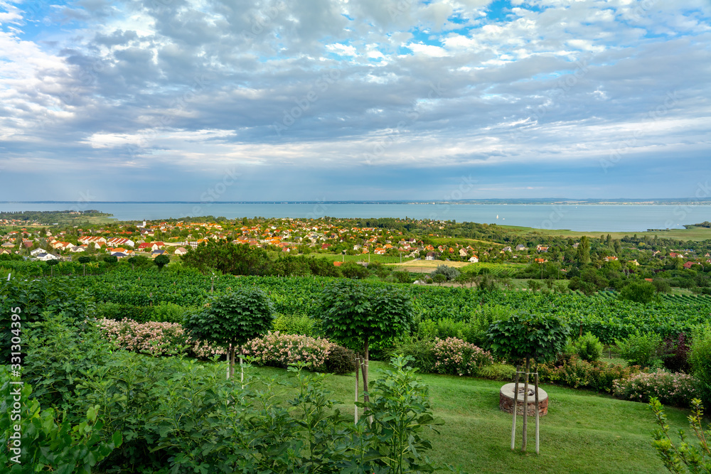 Naklejka premium Nice vineyard farm over the Lake Balaton in Hungary with flowers landscape