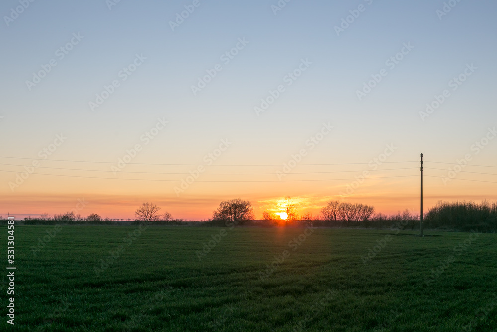 A line of electric poles with cables of electricity in a field with a forest in background in sprimg time during sunset.