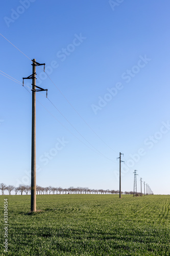 A line of electric poles with cables of electricity in a field with a forest in background in spring time during the day.