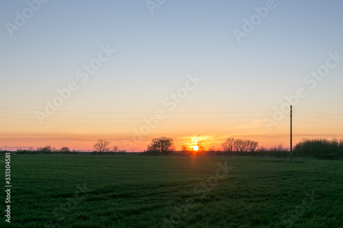 A line of electric poles with cables of electricity in a field with a forest in background in sprimg time during sunset.