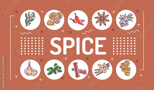 Spice word lettering typography. Cooking ingredient. Infographics with linear icons on brown background. Creative idea concept. Isolated outline color illustration