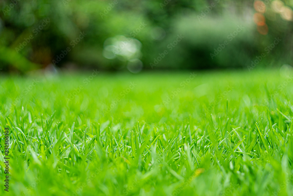 Naklejka premium Pasto