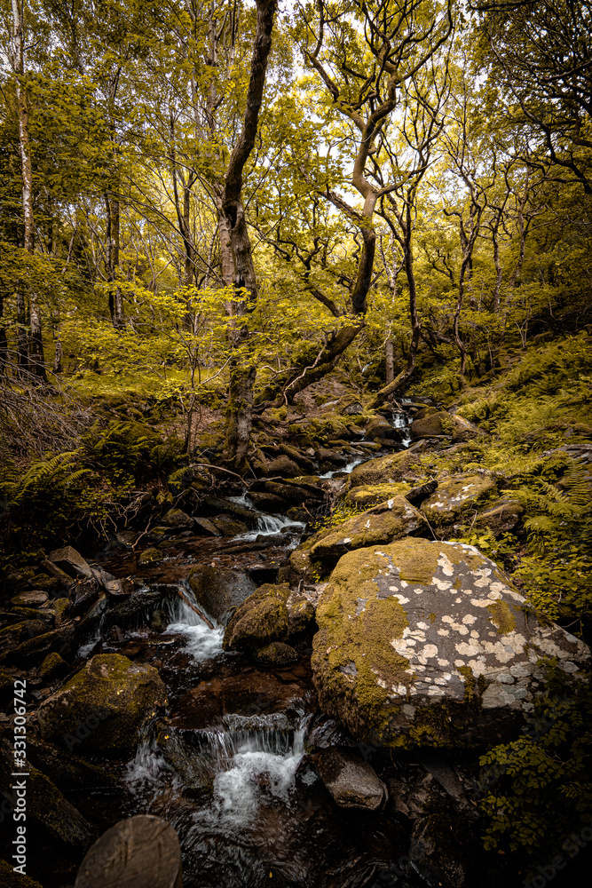 A stream in the forest with green trees, vegetation and mossy rocks in Llanberis, Gwynedd, North Wales, UK A stream in the forest with green trees, vegetation and mossy rocks in Llanberis, Gwynedd, North Wales, UK