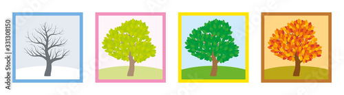 Four seasons. Trees in winter, spring, summer and fall with different foliage in typical colors and shades while the leaves turn throughout the course of a year. Vector illustration.