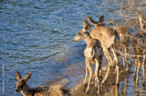 Impressionistic Style Artwork of Deer Taking a Drink at the Edge of the Lake © rck