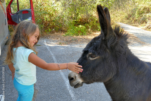 4 and a half year old girl caresses a donkey photo