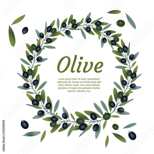 Organic natural food olive tree branch background vector illustration