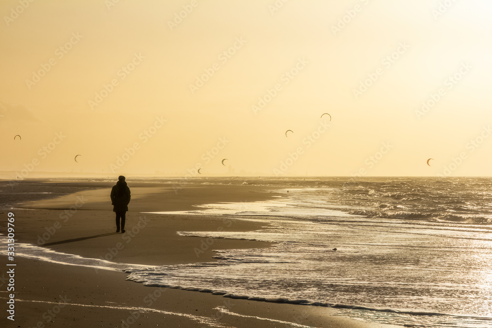 View of the north sea beach on a windy winter day at sunset, people, kitesurfing and seagulls. Noordwijk, the Netherlands