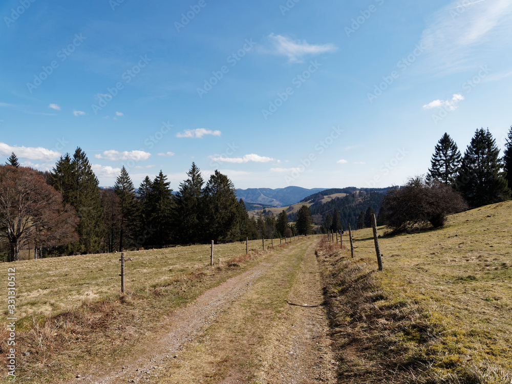 Black-Forest landscape in South Germany. Around the lake of Nonnenmattweiher, beautiful hiking place with view on Belchen Massif and Wiesental
