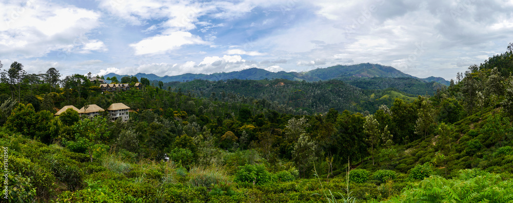 Panoramic view of a valley with a tea plantation and tropical forests on the way up to Little Adam's Peak in Ella
