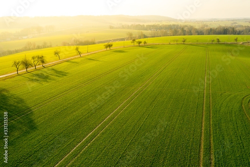 Aerial view on a field with green grass and few trees along a road. Panoramic view on a farm field with mountain on the background at sunset.