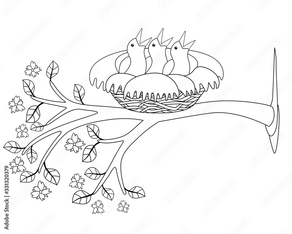 Naklejka premium Three chicks are sitting in a cozy nest on a flowering branch - vector linear picture for coloring. Outline. Small newly hatched birds.