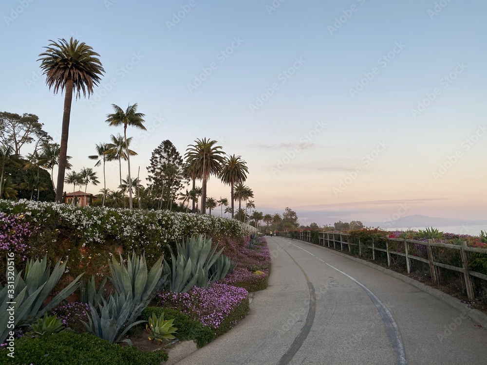 Fototapeta premium road in california