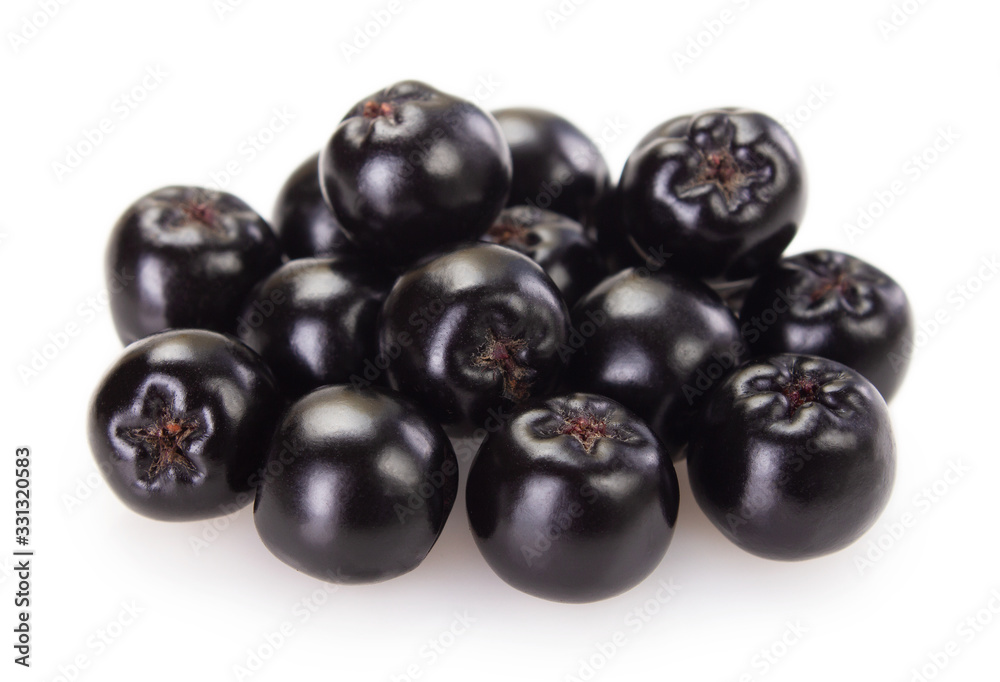 Fresh chokeberry on white background Fresh chokeberry on white background