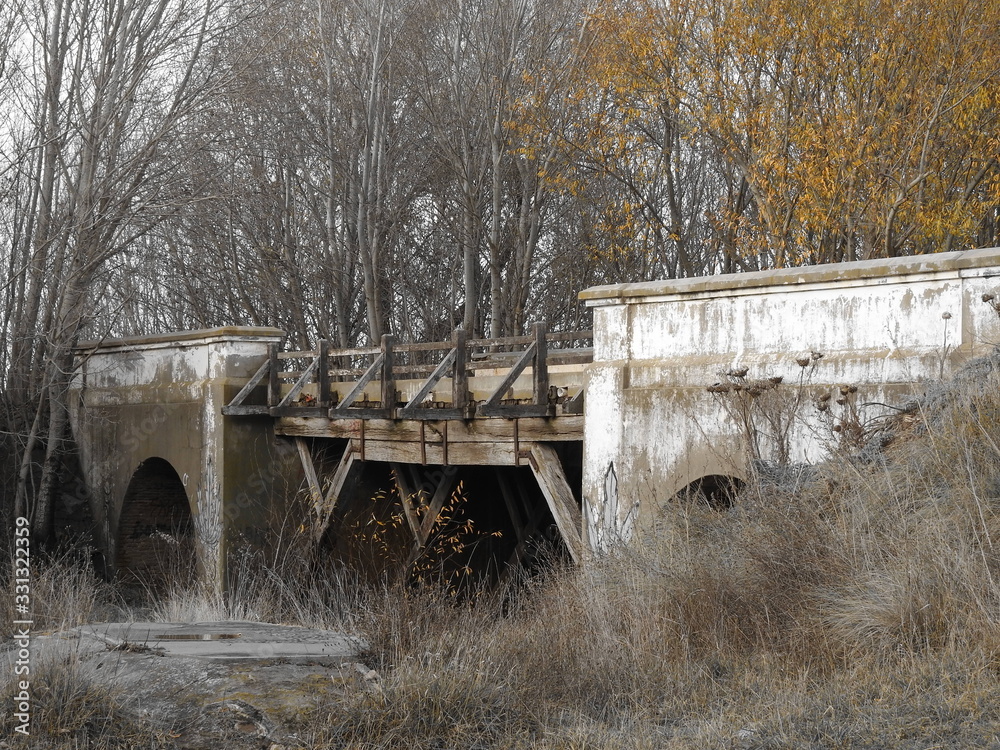 puente en otoño