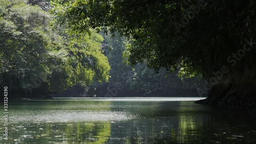 POV shot of driving on the boat on the river, mangrove trees, Java Indonesia