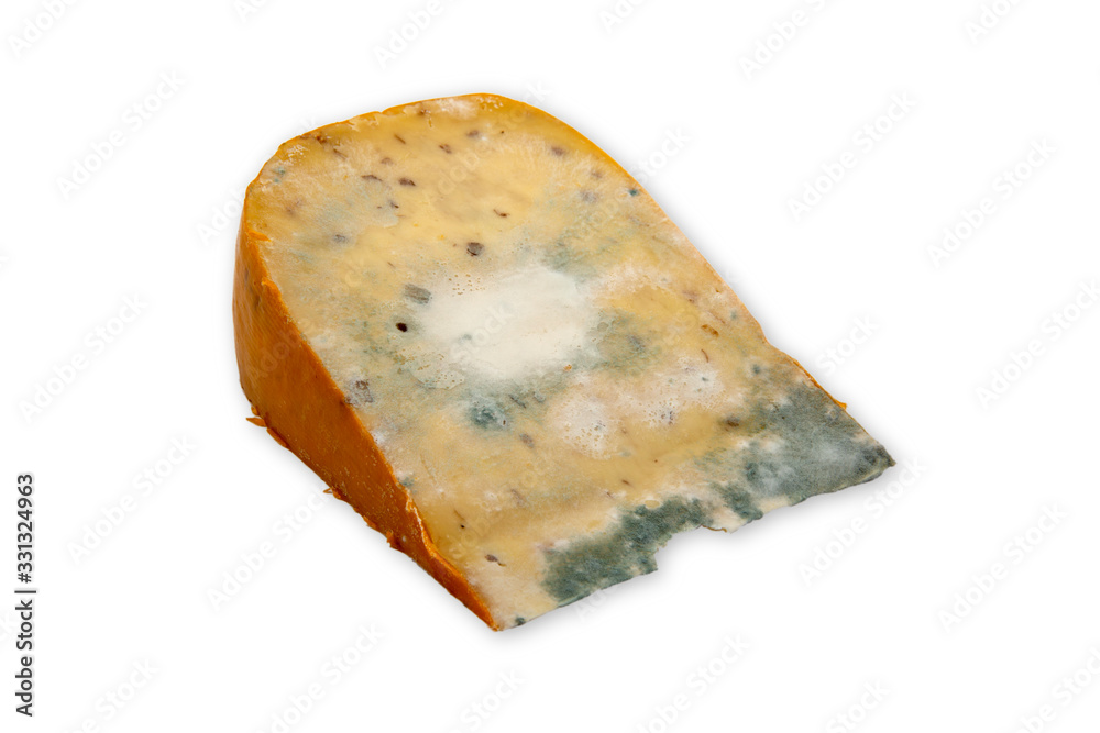Moldy Cheese