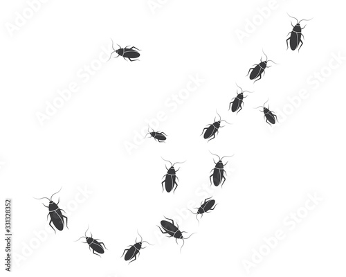 cockroaches vector icon illustration design © sangidan