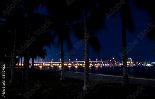 MIami Beach Bridge at night with palm trees.