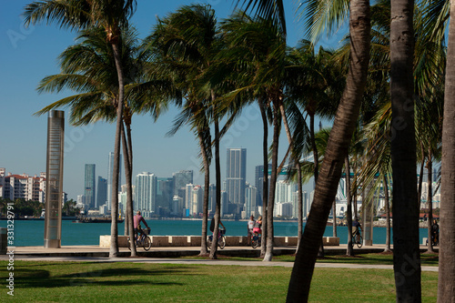 Miami Skyline and Port of Miami with Palm trees.