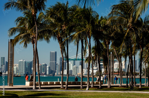 Miami Skyline and Port of Miami with Palm trees.