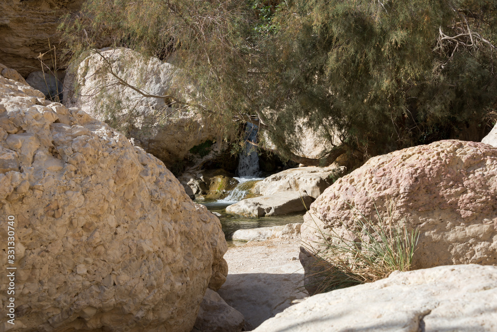Ein Gedi National Park at Southern Israel