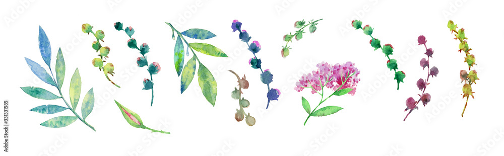 Set of plants. Collection of leaves and flowers on a white background. Watercolor painting.  Colorful plants and flowers for craft. Stems and leaves for design or creativity.