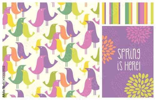 New Spring mid-century modern birds seamless pattern with coordinating patterns and design elements. Fresh designs for fabric, gift wrap, cards, backgrounds and decor.