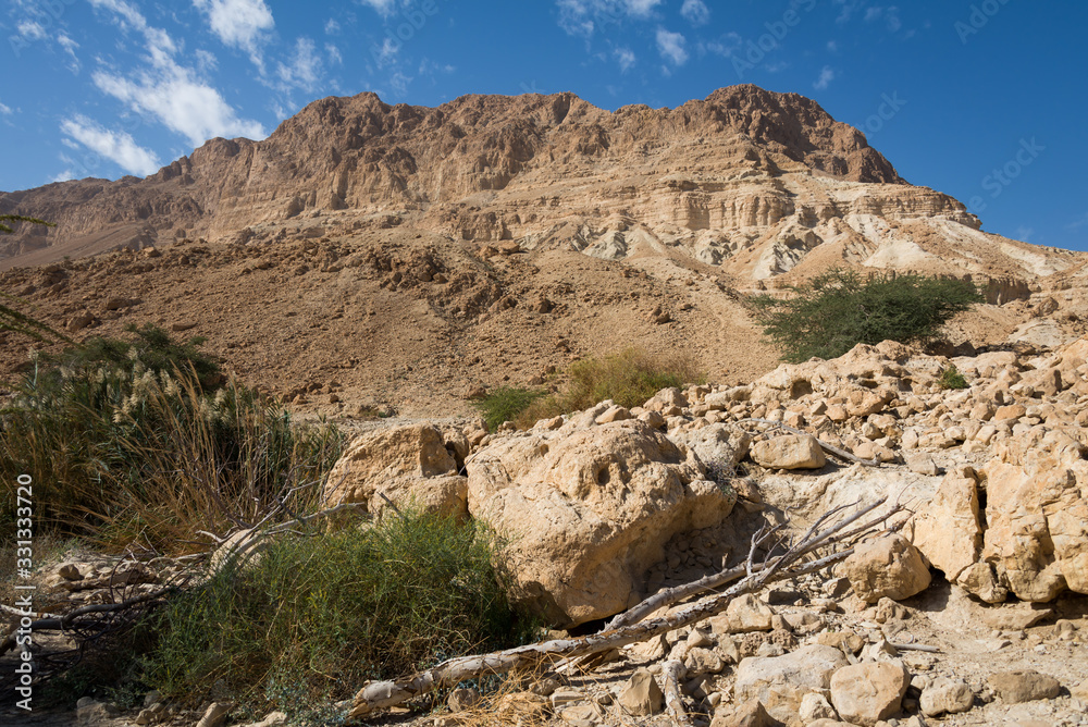 Fototapeta premium Ein Gedi National Park at Southern Israel
