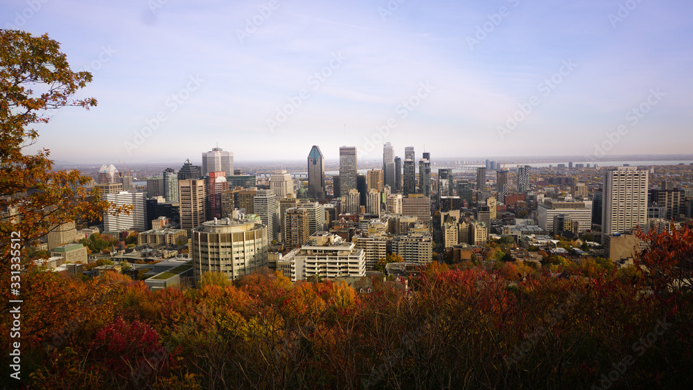 Obraz premium city view