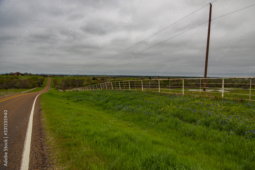 Bluebonnets wildflowers along white fence line and road in background